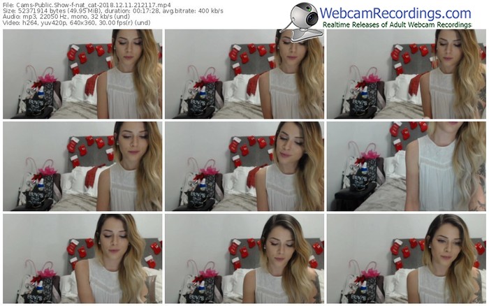 cams-nat_cat-webcam-show-12_11_2018-21_21_17