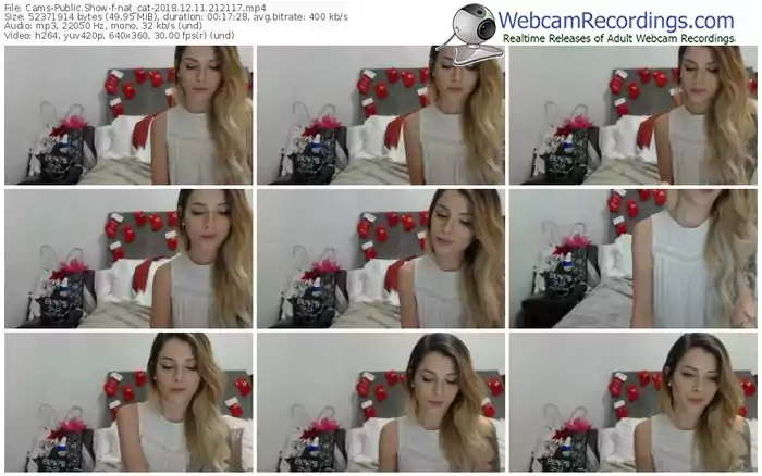 cams-nat_cat-webcam-show-12_11_2018-21_21_17