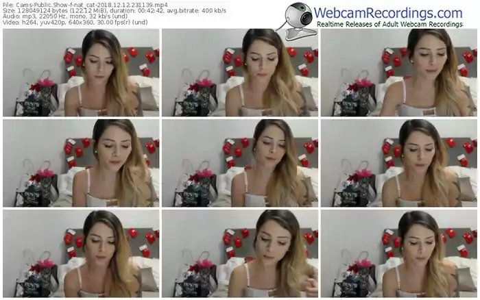 cams-nat_cat-webcam-show-12_12_2018-23_11_39