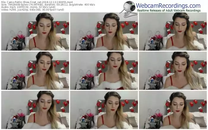 cams-nat_cat-webcam-show-12_13_2018-19_06_55