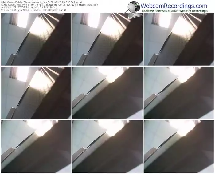 cams-upforit_test5-webcam-show-12_13_2018-09_56_47