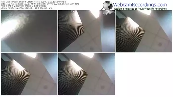 cams-upforit_test5-webcam-show-12_13_2018-11_56_49