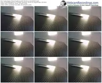 cams-upforit_test5-webcam-show-12_13_2018-12_26_49