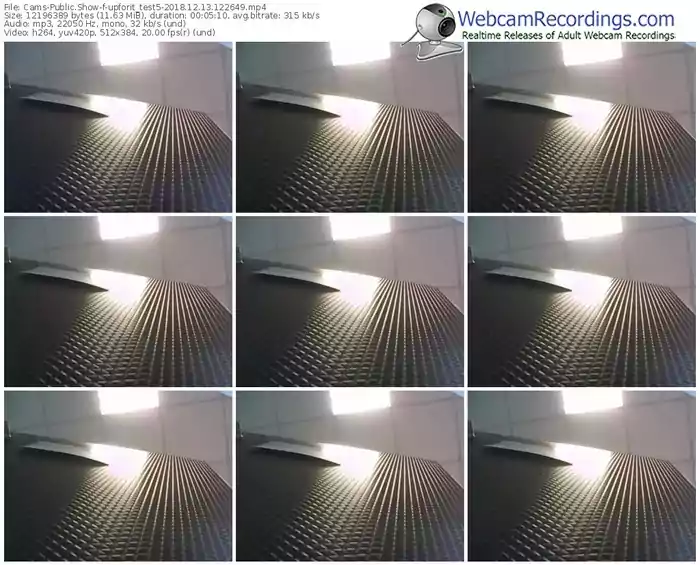 cams-upforit_test5-webcam-show-12_13_2018-12_26_49