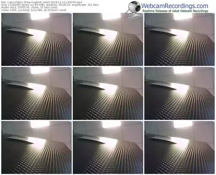 cams-upforit_test5-webcam-show-12_13_2018-13_41_50