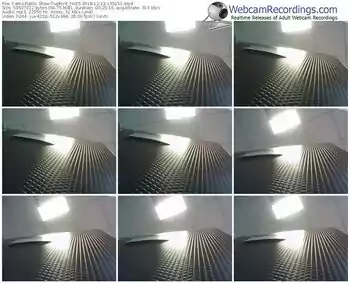 cams-upforit_test5-webcam-show-12_13_2018-13_51_51