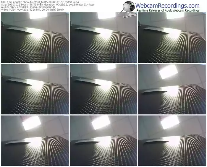 cams-upforit_test5-webcam-show-12_13_2018-13_51_51