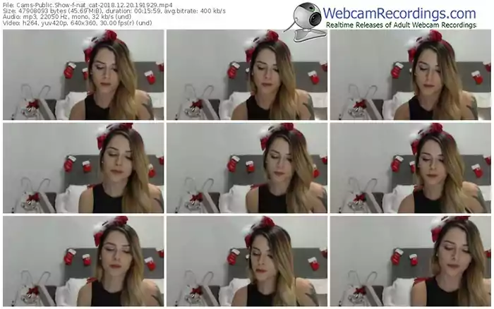 cams-nat_cat-webcam-show-12_20_2018-19_19_29