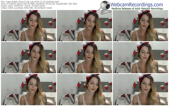 cams-nat_cat-webcam-show-12_20_2018-20_24_30