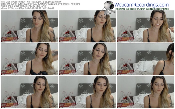 cams-nat_cat-webcam-show-12_25_2018-16_56_13