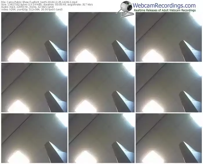 cams-upforit_test5-webcam-show-12_25_2018-14_26_12