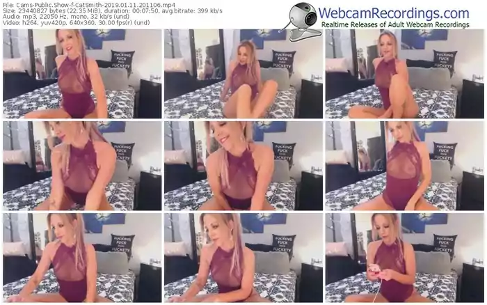 cams-catsmith-webcam-show-01_11_2019-20_11_06