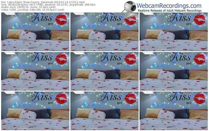 cams-sunny_savannah-webcam-show-01_14_2019-11_27_11