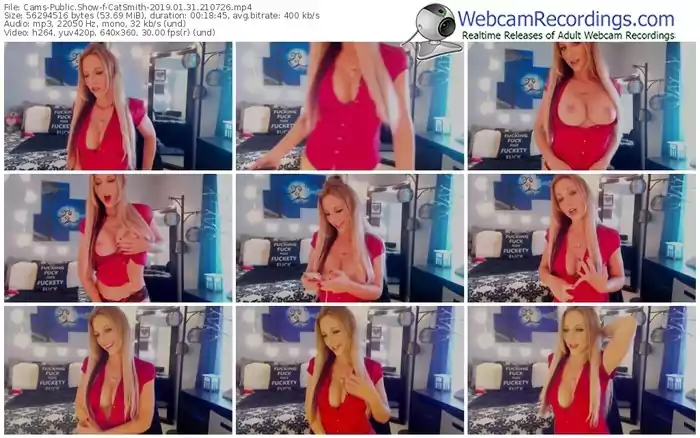 cams-catsmith-webcam-show-01_31_2019-21_07_26