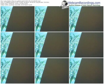 cams-upforit_test3-webcam-show-05_10_2019-12_59_28