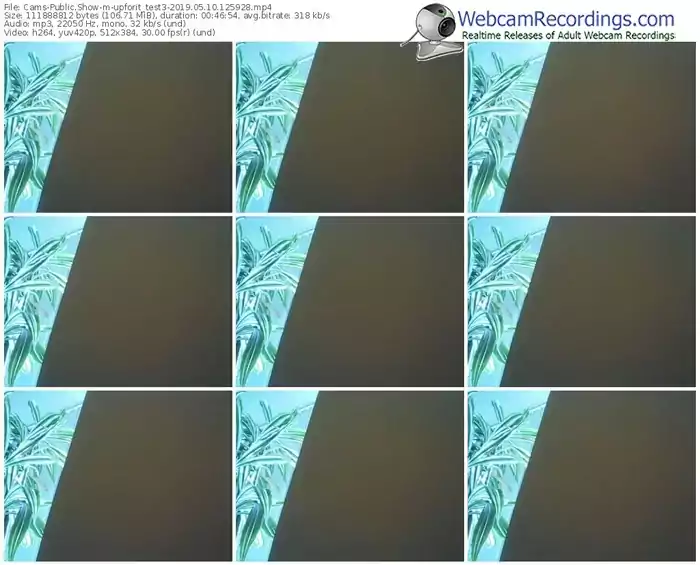 cams-upforit_test3-webcam-show-05_10_2019-12_59_28