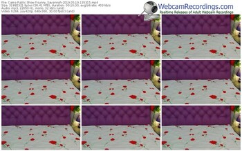 cams-sunny_savannah-webcam-show-05_19_2019-13_53_15