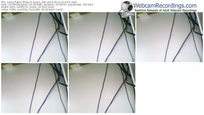 cams-exotic_eek-webcam-show-06_10_2019-21_42_15