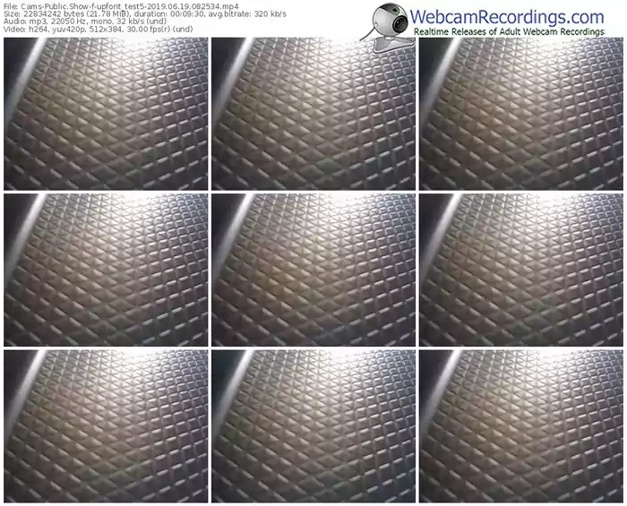 cams-upforit_test5-webcam-show-06_19_2019-08_25_34