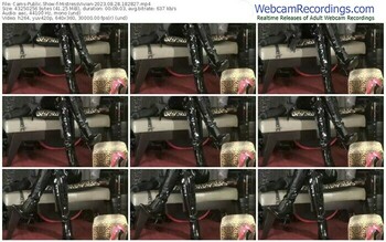 cams-mistressvivian-08-28-2023-18-28-27