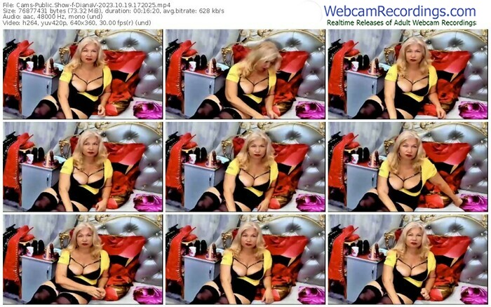 cams-dianav-10-19-2023-17-20-25