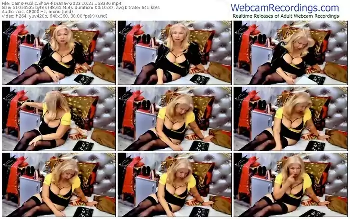 cams-dianav-10-21-2023-16-33-36