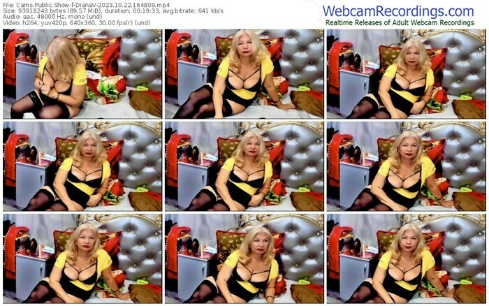 cams-dianav-10-22-2023-16-48-09