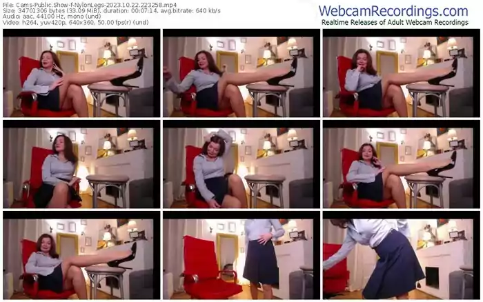 cams-nylonlegs-10-22-2023-22-32-58