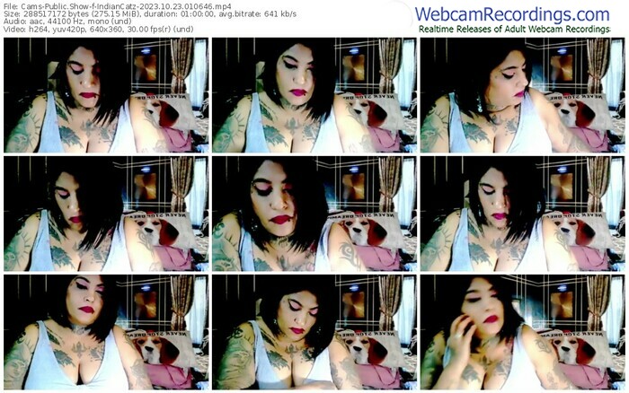 cams-indiancatz-10-23-2023-01-06-46