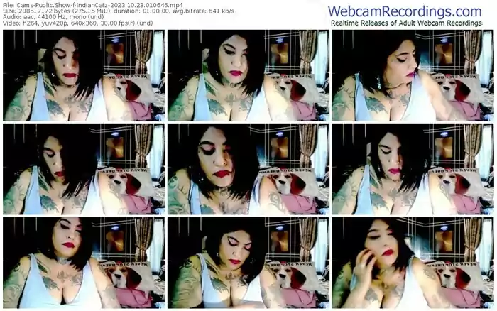 cams-indiancatz-10-23-2023-01-06-46