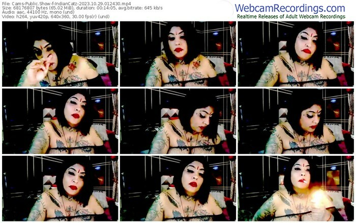 cams-indiancatz-10-29-2023-01-24-30