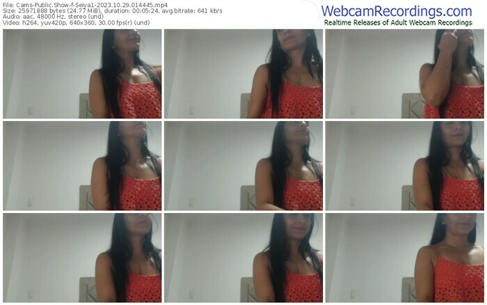 cams-seiya1-10-29-2023-01-44-45