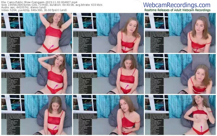 cams-jengasm-11-02-2023-00-46-07