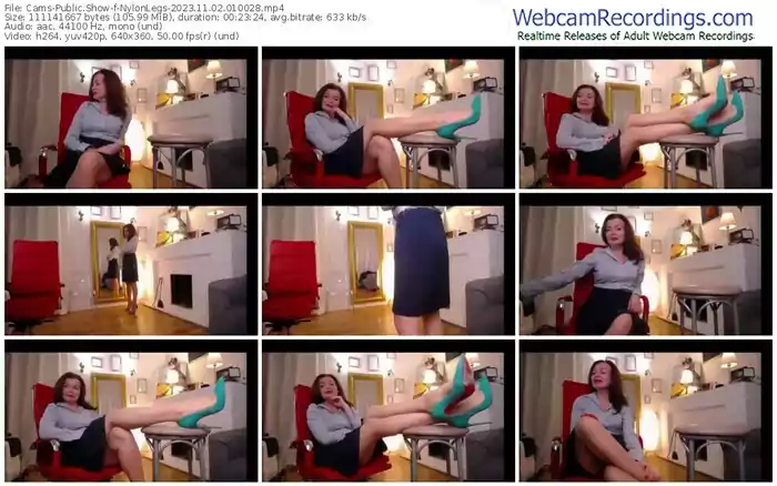 cams-nylonlegs-11-02-2023-01-00-28