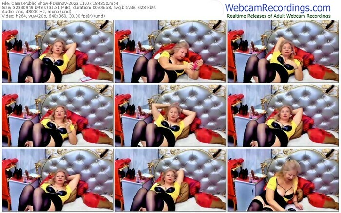 cams-dianav-11-07-2023-18-43-50
