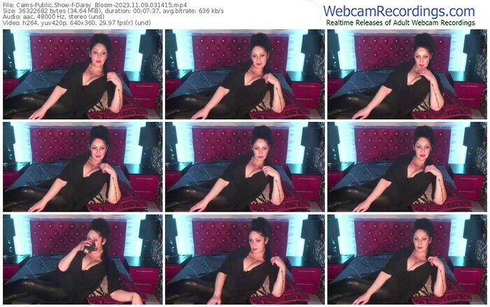 cams-daisy_bloom-11-09-2023-03-14-15