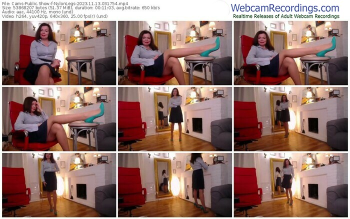 cams-nylonlegs-11-13-2023-03-17-54