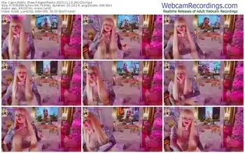 cams-aspenpeeks-11-14-2023-20-16-20