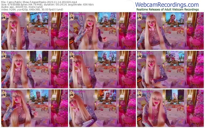 cams-aspenpeeks-11-14-2023-20-16-20