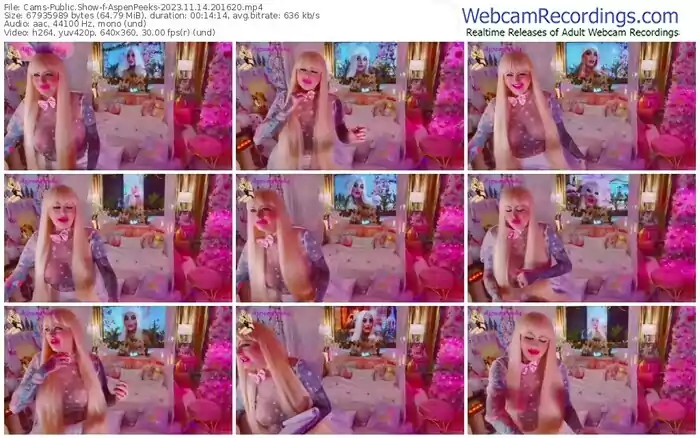 cams-aspenpeeks-11-14-2023-20-16-20