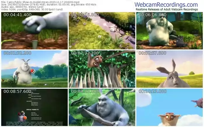 cams-modelcitizen-11-17-2023-20-42-00