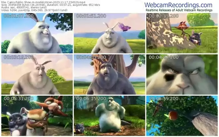 cams-modelcitizen-11-17-2023-23-43-29