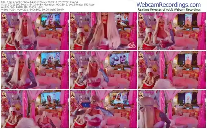 cams-aspenpeeks-11-26-2023-20-27-12