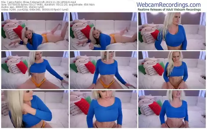 cams-alenacroft-11-28-2023-18-59-16