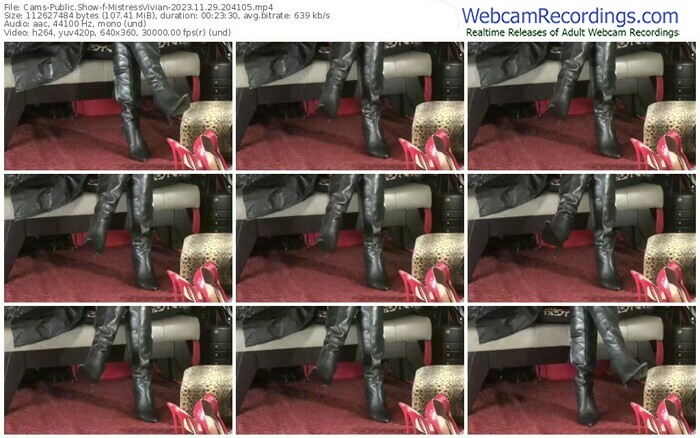 cams-mistressvivian-11-29-2023-20-41-05