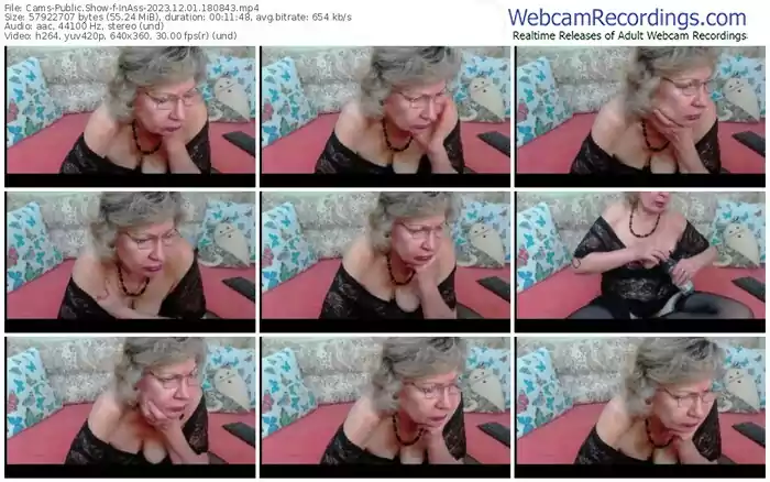 cams-inass-12-01-2023-18-08-43