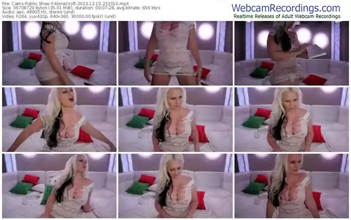 cams-alenacroft-12-15-2023-23-20-10