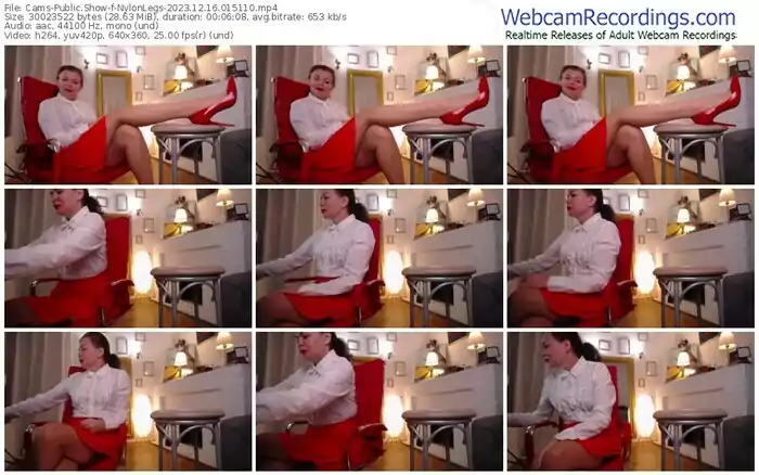 cams-nylonlegs-12-16-2023-01-51-10