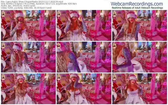 cams-aspenpeeks-12-17-2023-00-31-30