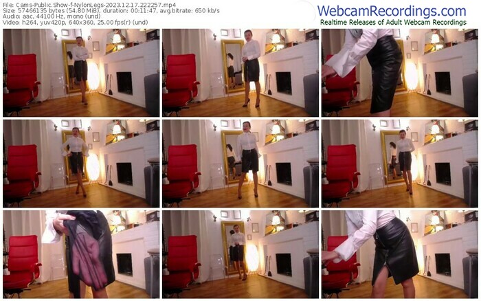 cams-nylonlegs-12-17-2023-22-22-57